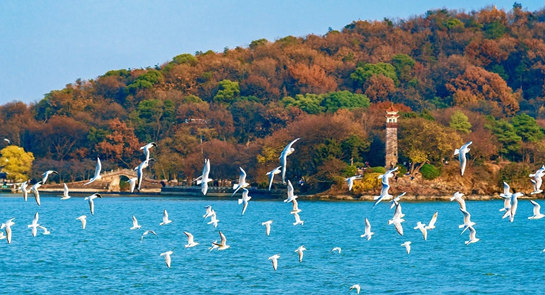 �������ص���